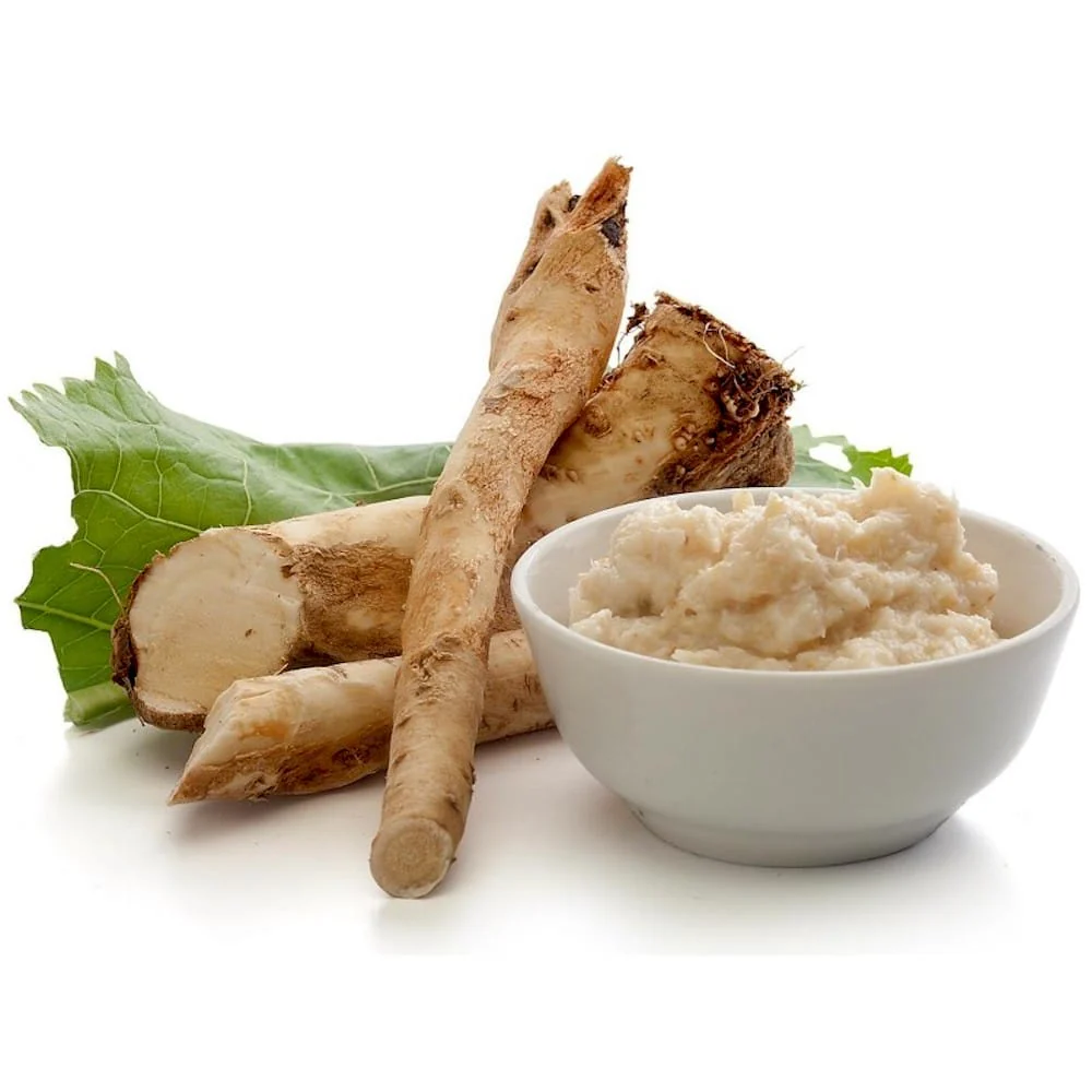 Hrean in ghiveci – Armoracia rusticana (crescut 100% biologic)