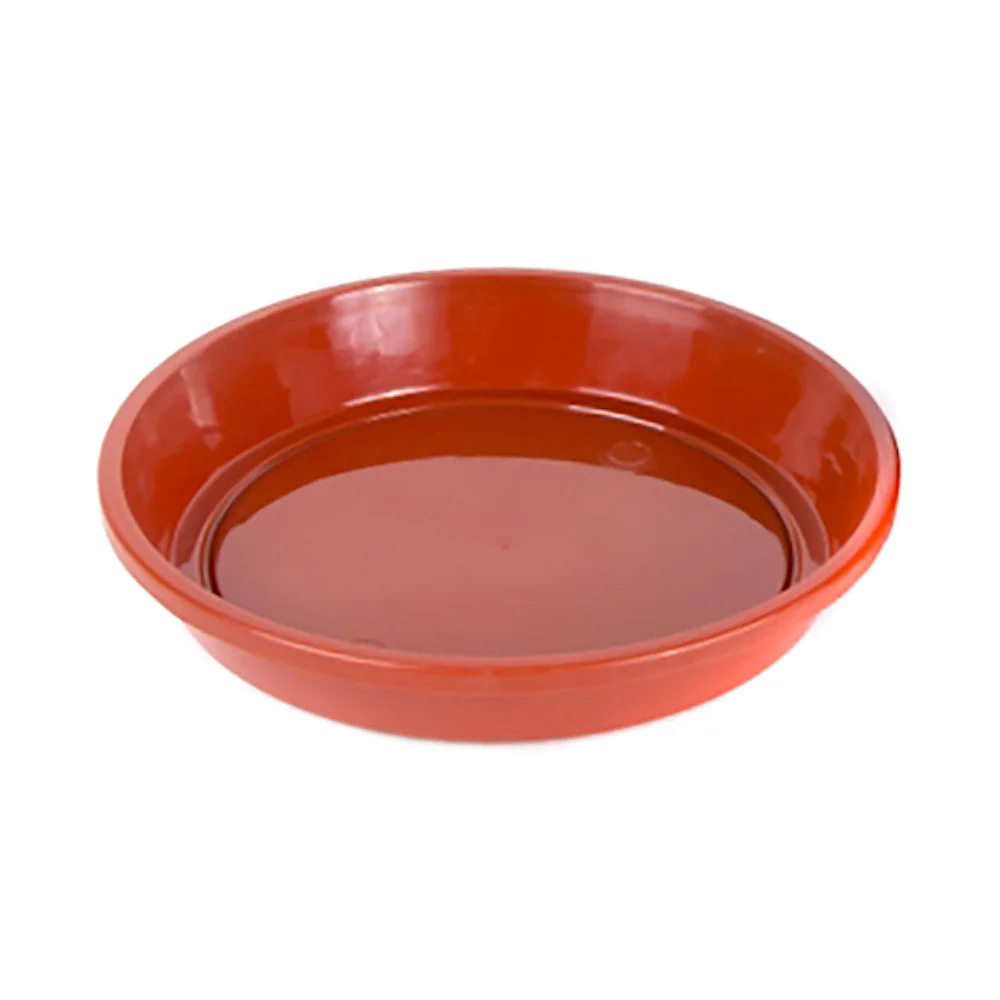 Farfurie plastic D12 cm (caramiziu/verde/rosu/ciclam)