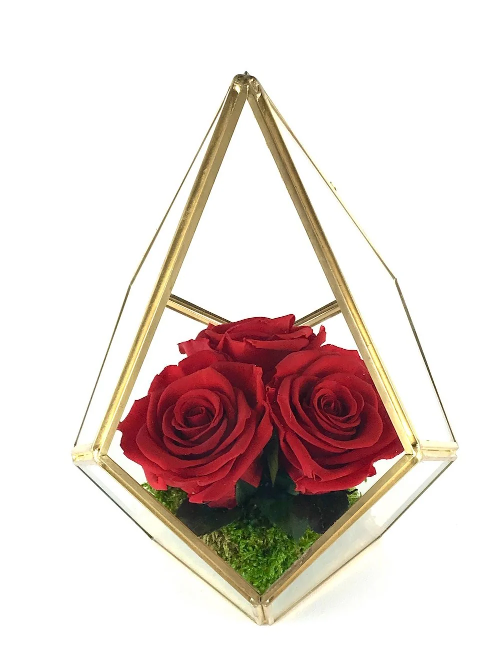 Trandafiri criogenati rosii in terarium geometric de sticla
