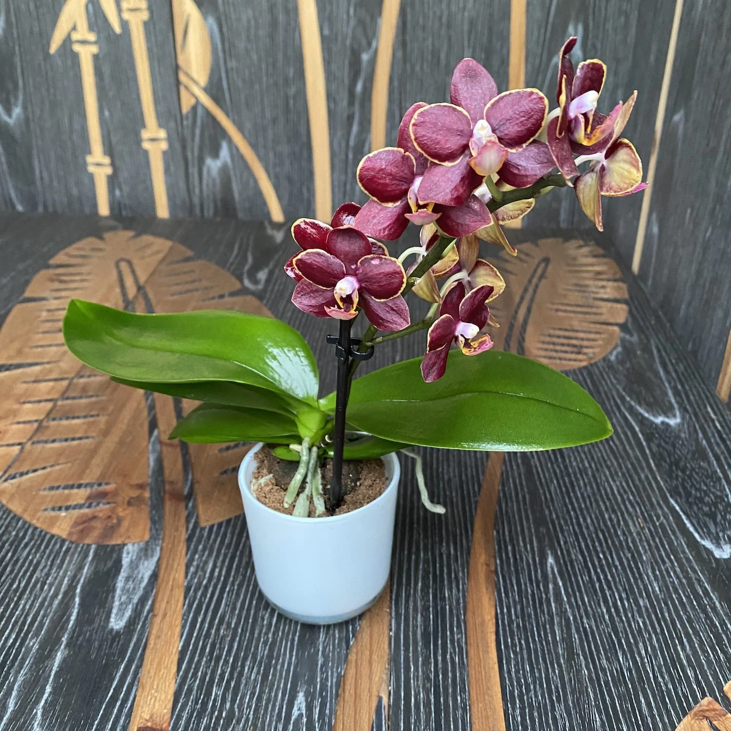 Vas din sticla tip masca alb D7.5cm, H8cm