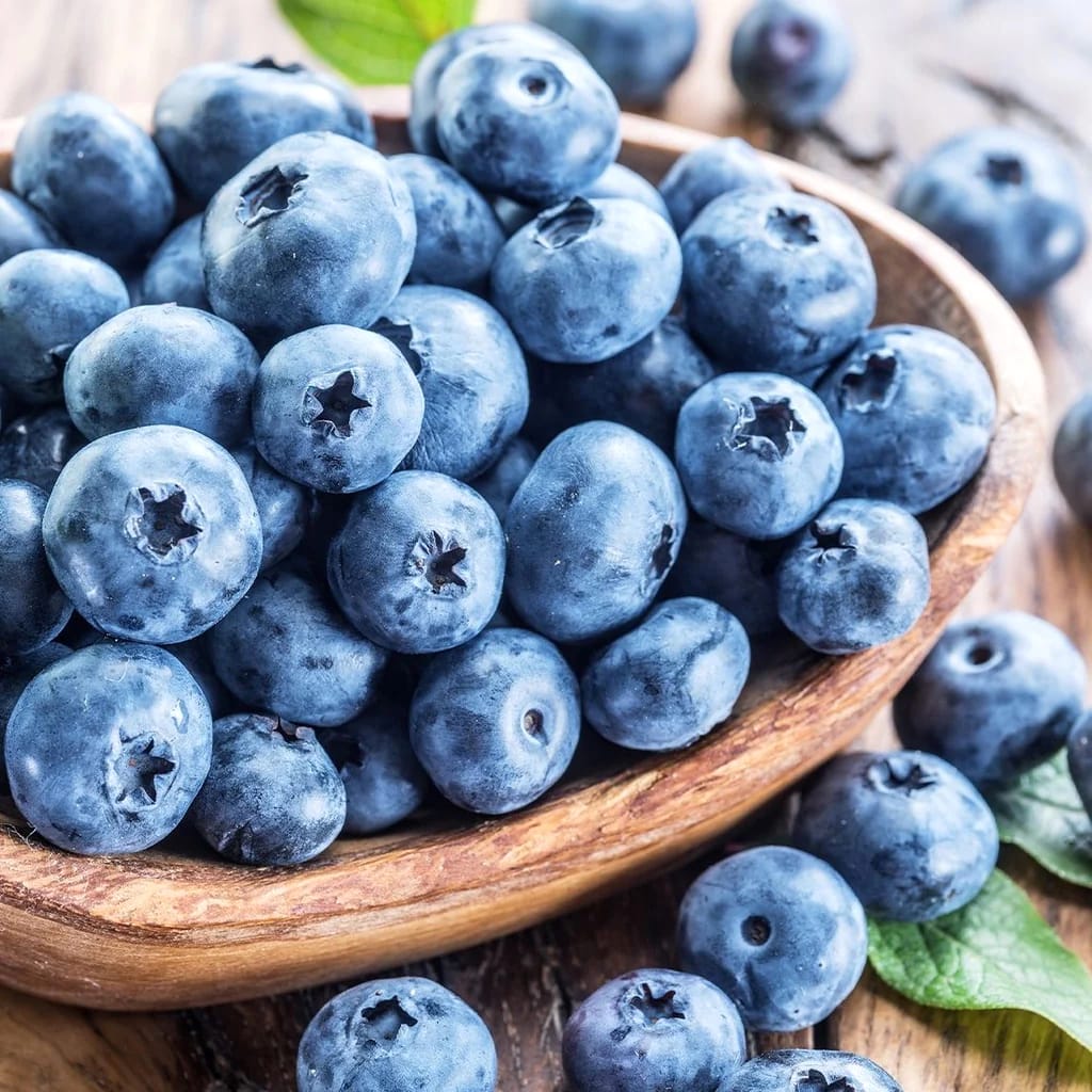 Afin cu fructe mari – Vaccinium corymbosum 'Brigitta Blue’