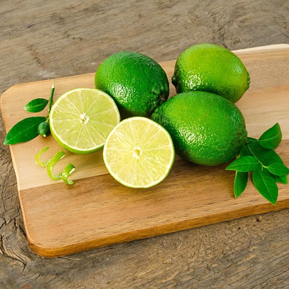 Lime – Citrus aurantifolia 'Lime Verde’ – exemplare tinere (Pot12)