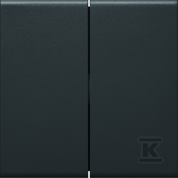 Klawisze do łącznika 2-klawiszowego PC-ABS bezhalogenowy czarny, TEHALIT.WA GW2B9011