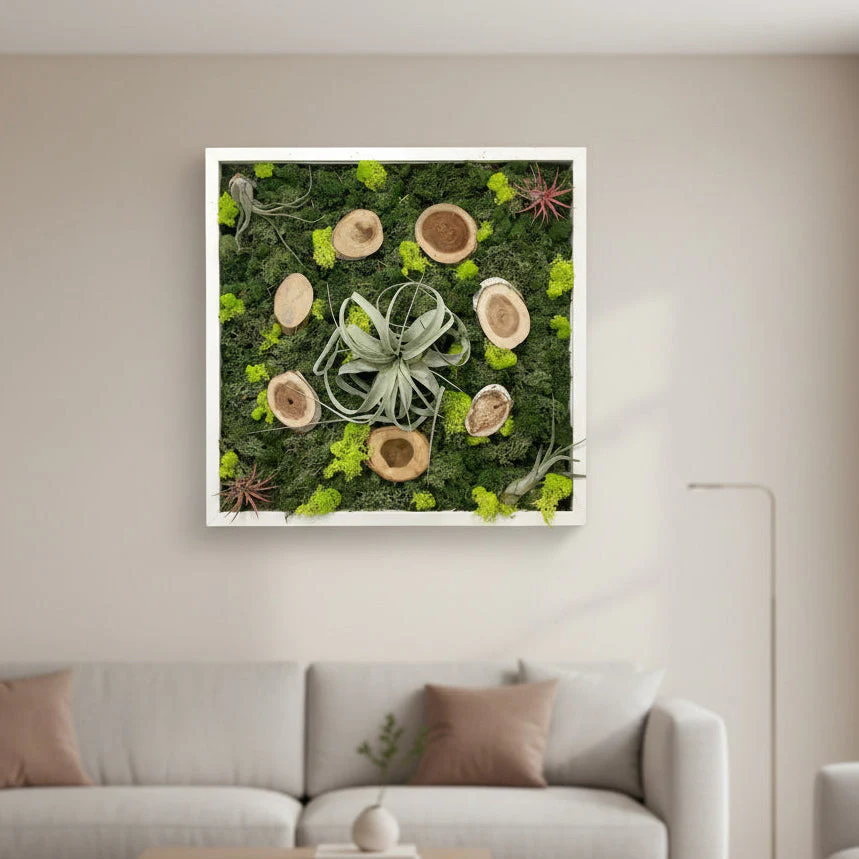Tablou licheni si 5 plante aeriene
