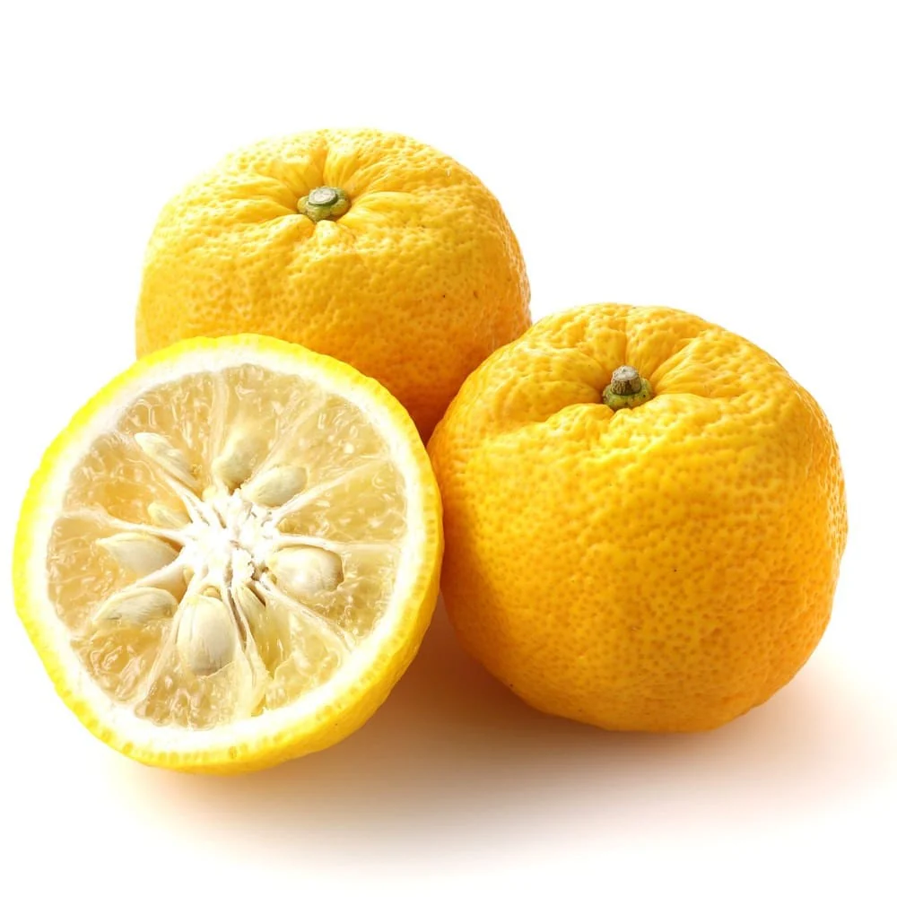 Citrus Yuzu (Citrus junos) – citrus rezistent la frig