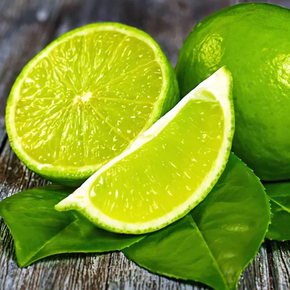 Lime in ghiveci – Citrus aurantifolia 'Mexican Lime’ – exemplare tinere (D9)