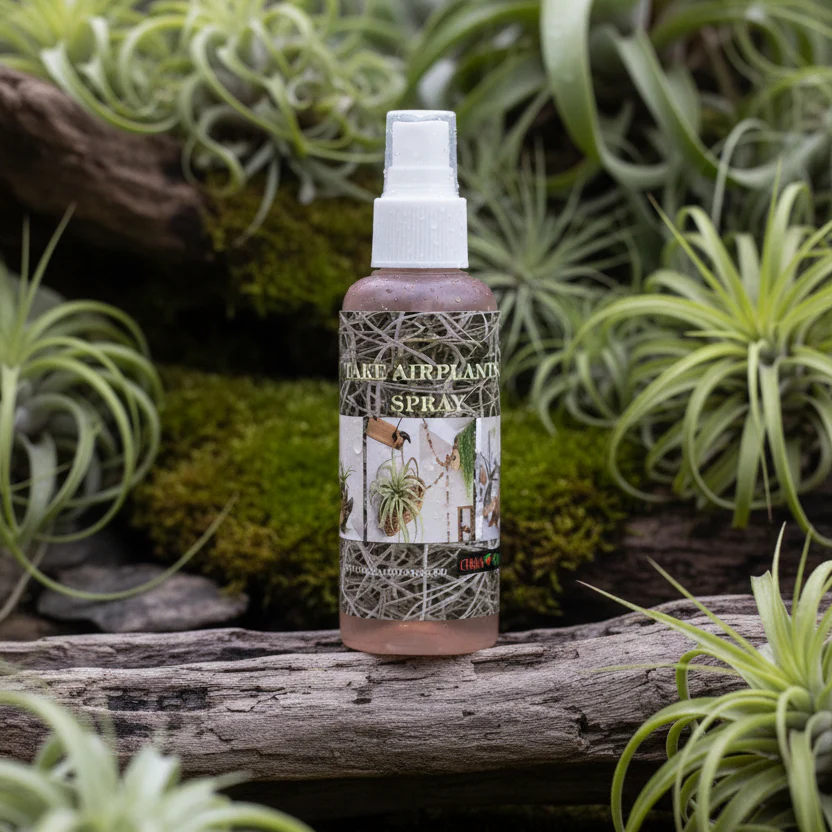 Spray nutritiv pentru plante aeriene (Tillandsia) – fertilizant organic