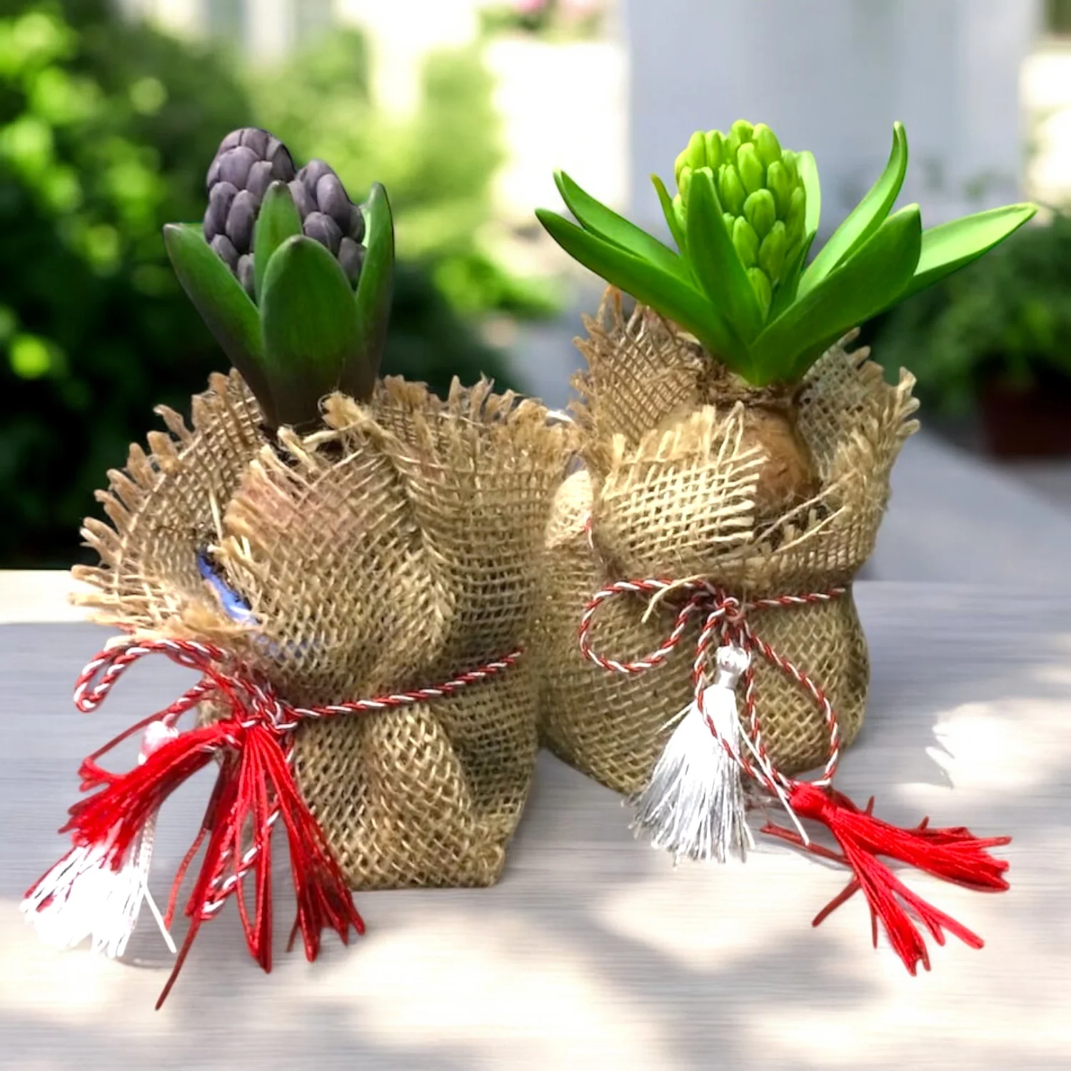 Zambila in sac de iuta cu snur de martisor