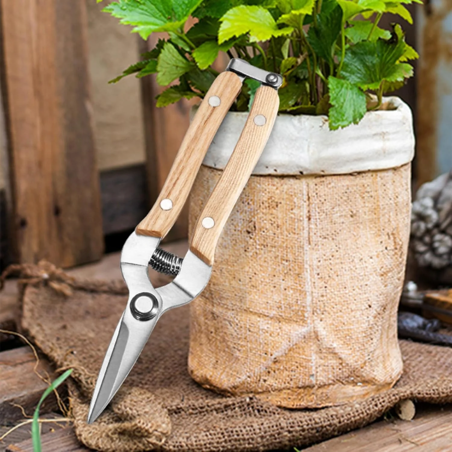 Foarfeca de gradina din otel inoxidabil cu maner de lemn – pomicultura, viticultura, recoltare, floricultura