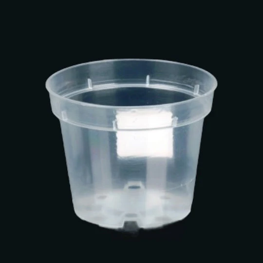 Ghiveci transparent 17 cm – ideal pentru orhidee, suculente si plante sensibile la udare