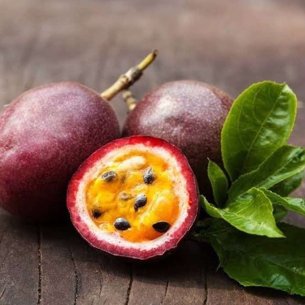 Passiflora edulis – floarea pasiunii, maracuja (fructe comestibile) – exemplare tinere