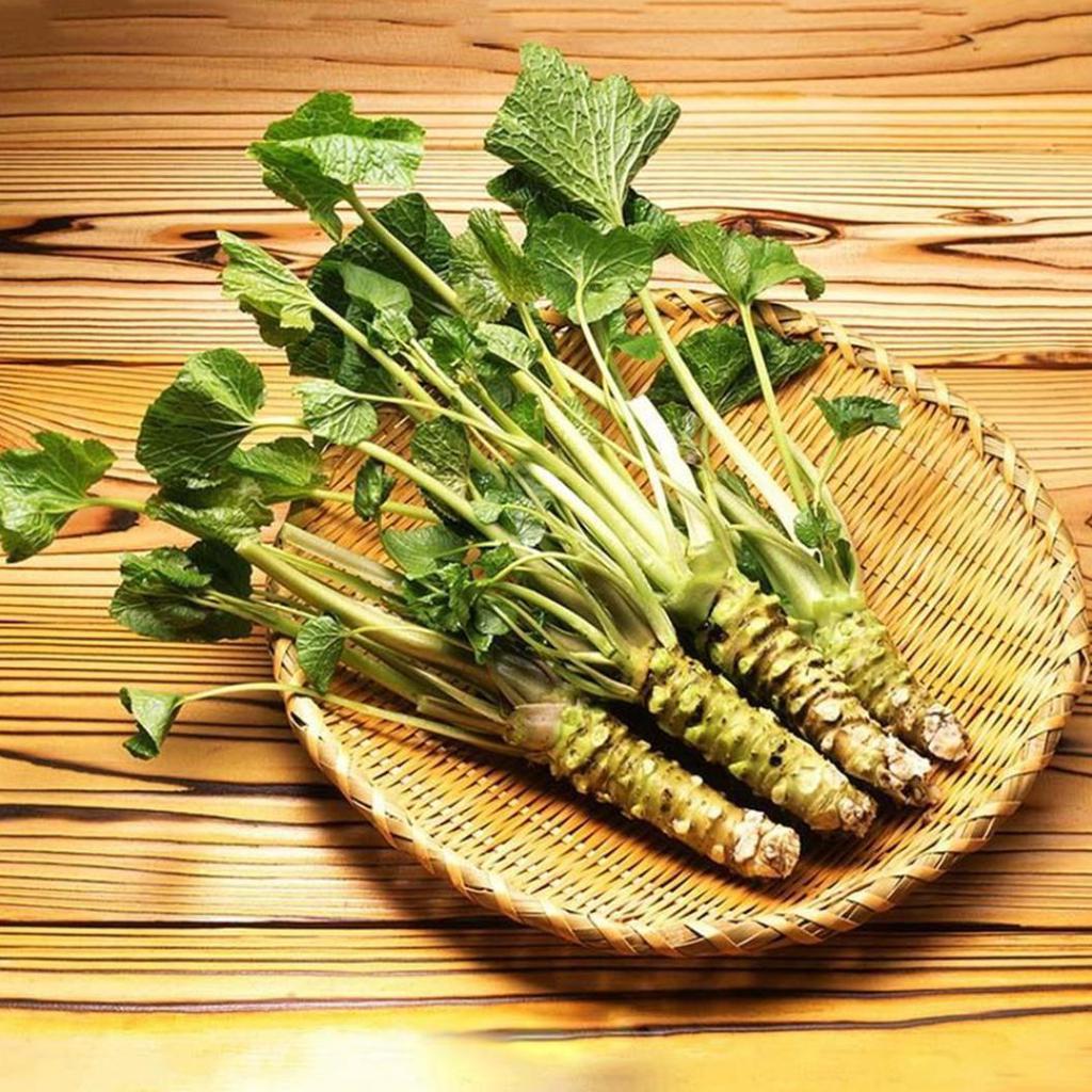 Wasabi japonica (Hrean Japonez)