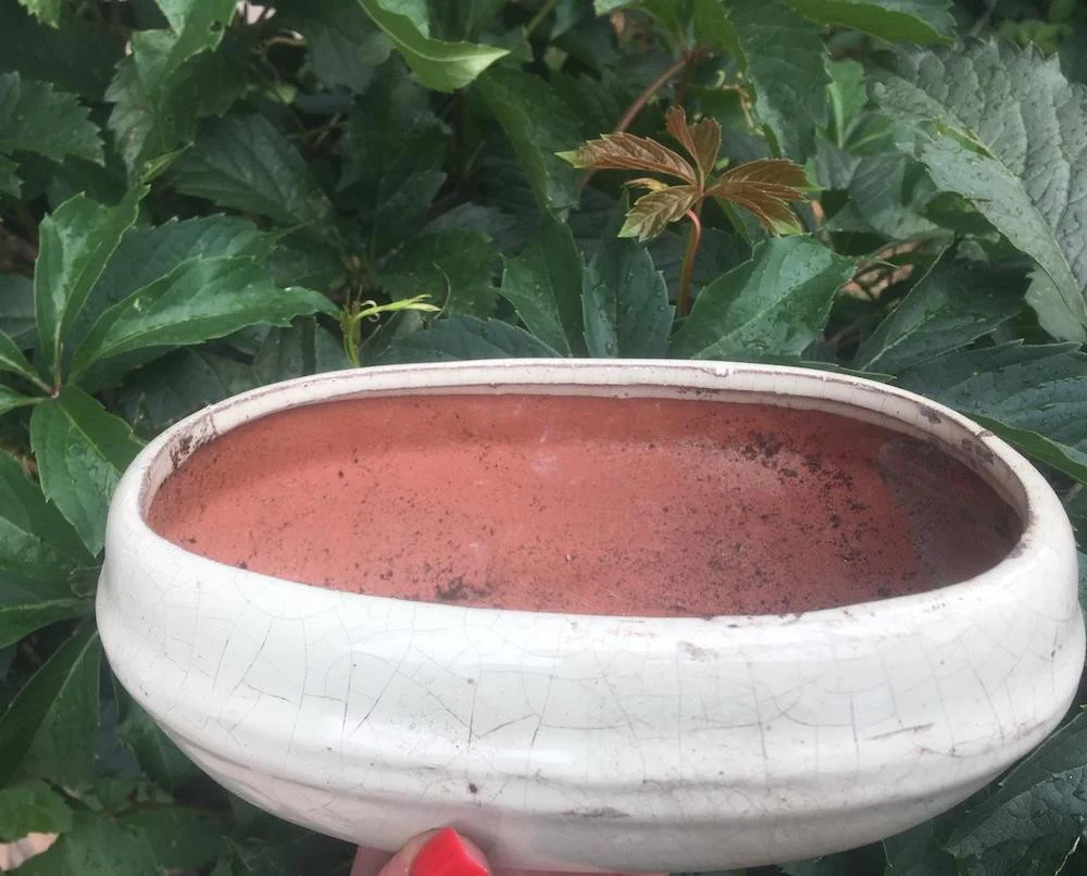 Vase bonsai din ceramica (cu mici defecte)
