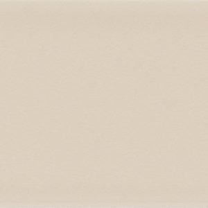 PŁYTKA CERAMICZNA EQ/CN52BGPAG 20 X 5 CM OD EQUIPE