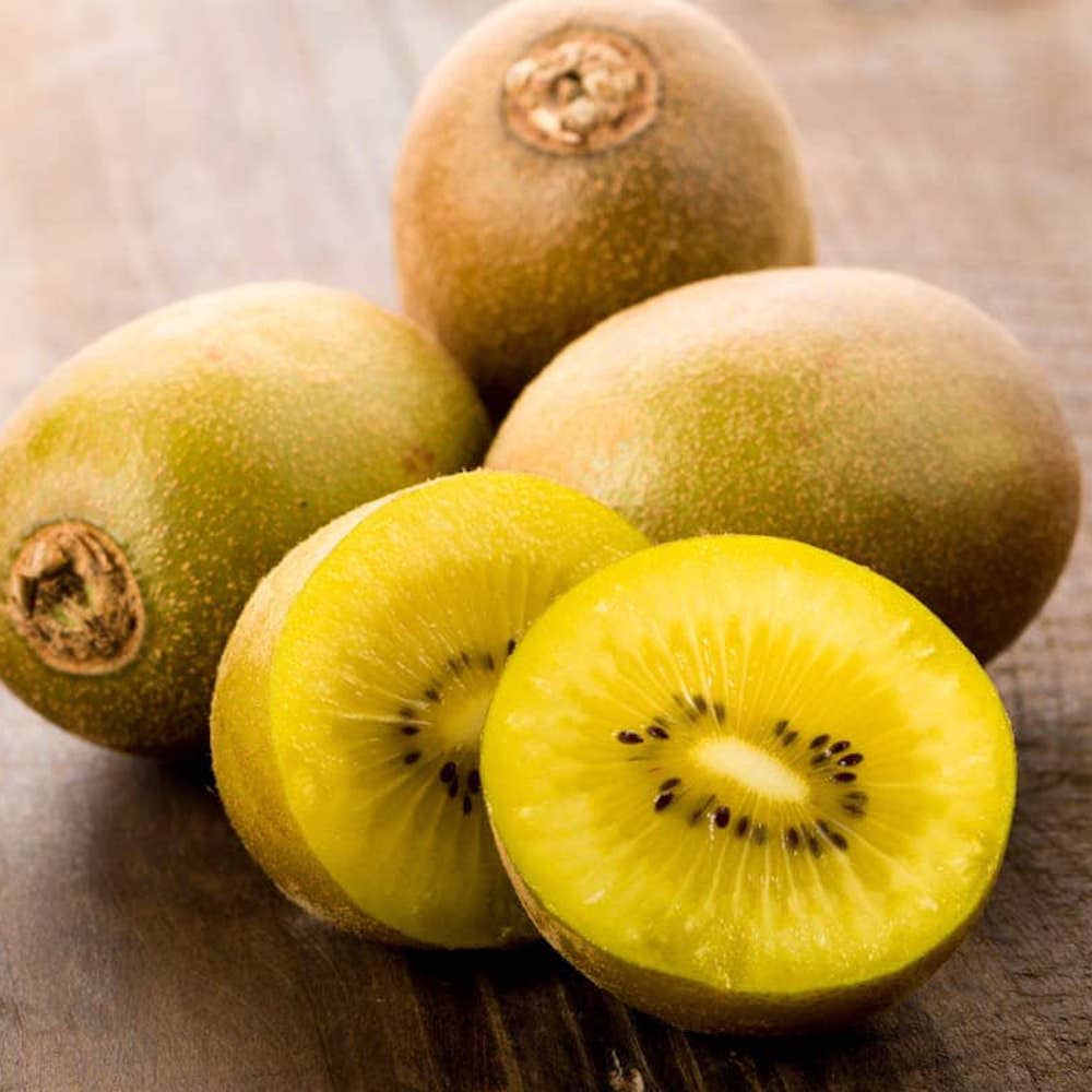 Kiwi – Actinidia deliciosa 'Golden Kiwi’ (femela)