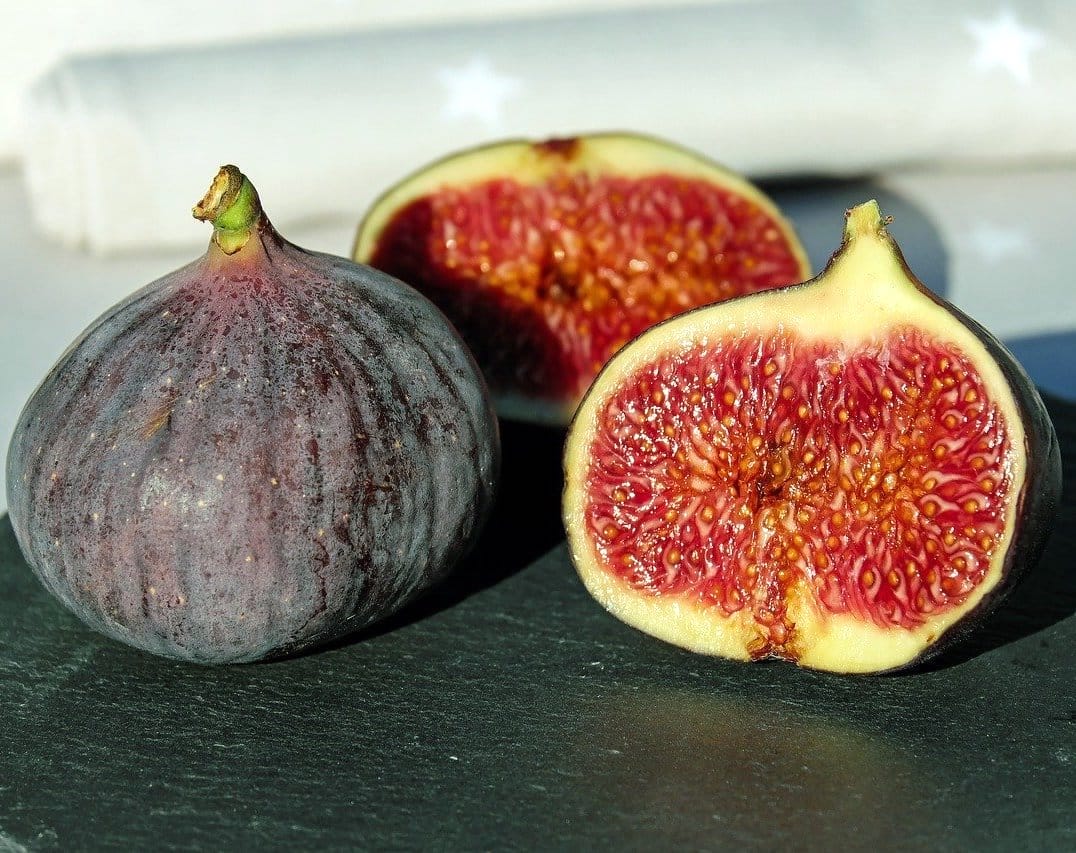 Smochin – Ficus carica 'Rouge De Bordeaux’ (Pastiliere)