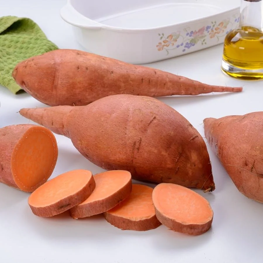 Cartofi dulci – Ipomoea batatas