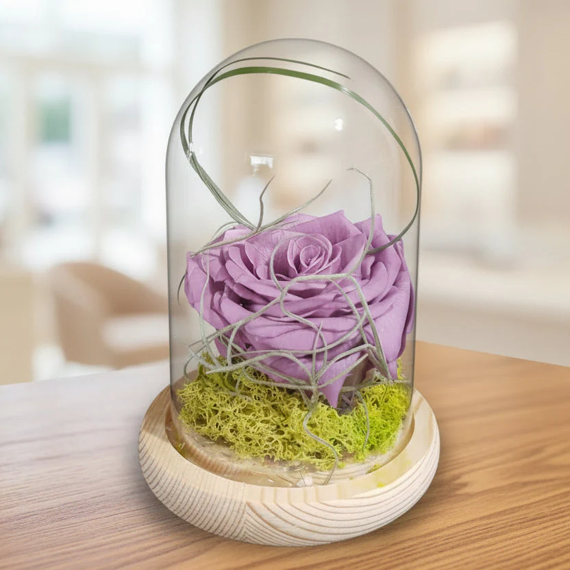 Trandafir criogenat lila si moss in cupola de sticla
