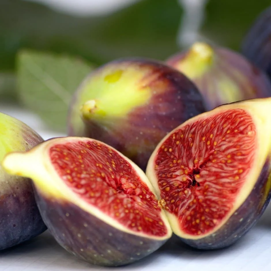 Smochin – Ficus carica 'Brown Turkey’ – plante ramificate