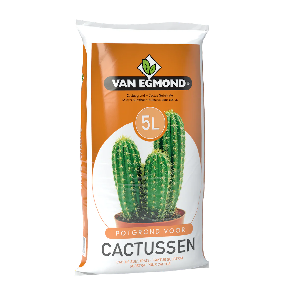Substrat de cactusi / plante suculente 5 L – Van Egmond