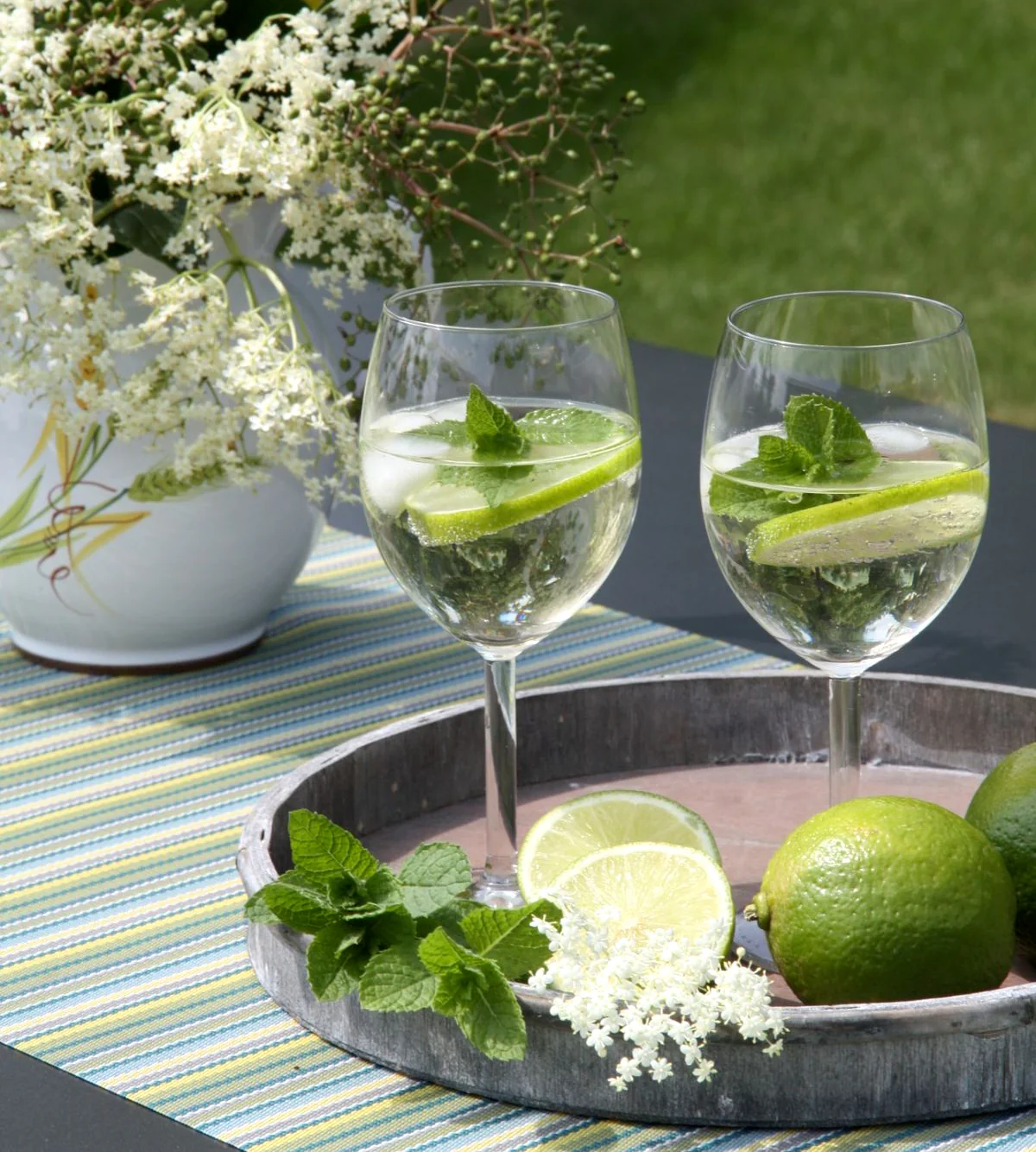 Menta – Mentha spicata 'Hugo’ (Cocktail Mint) – cultura biologica