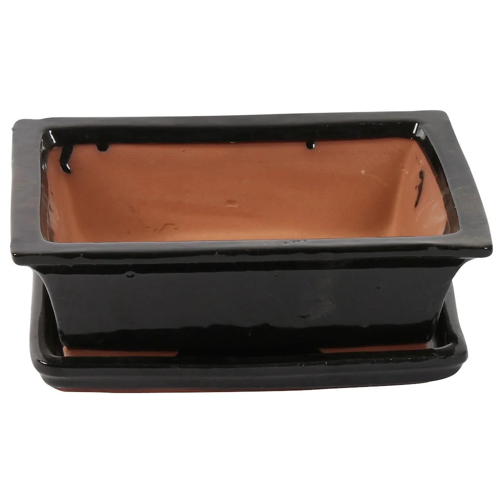 Ghiveci traditional bonsai negru cu farfurie D25 cm