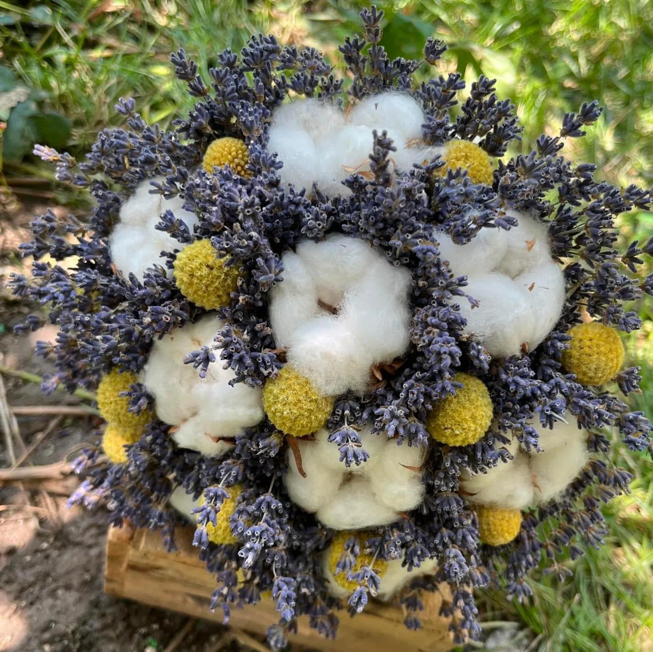 Buchet Flori de Bumbac, Lavanda Parfumata si Craspedia Galbena