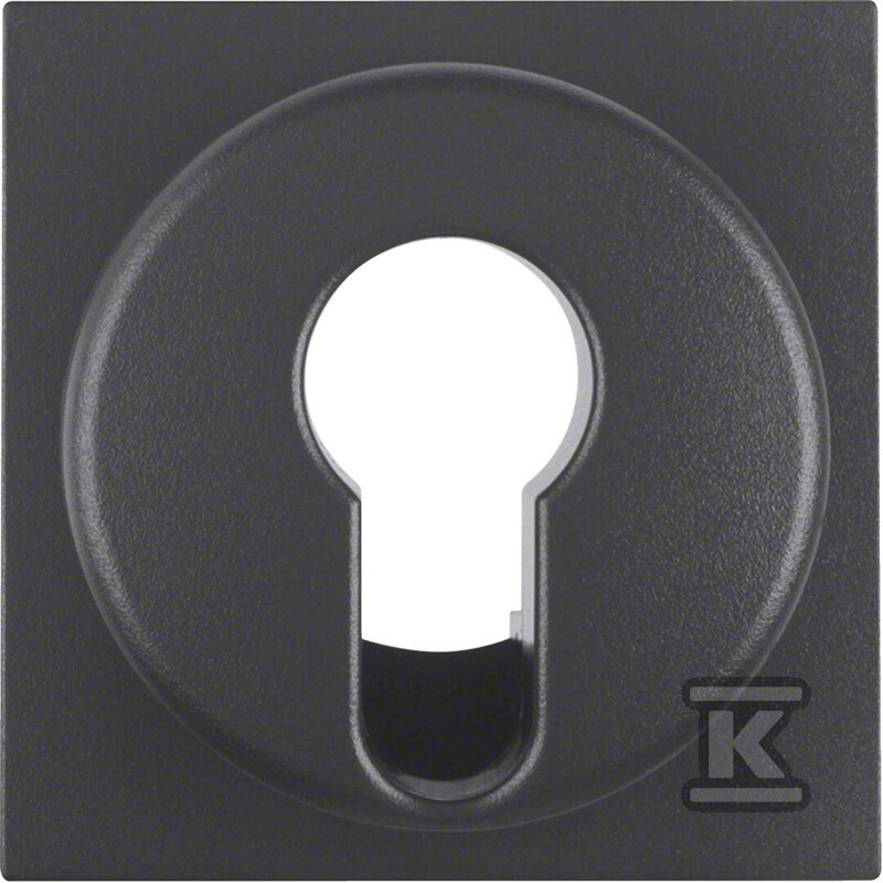 Płytka czołowa do łącznika na klucz, antracyt mat, B.X 15071606