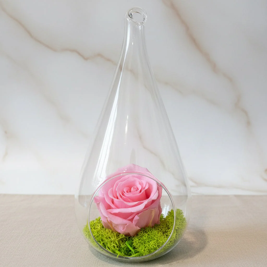 Trandafir criogenat roz in terarium lacrima