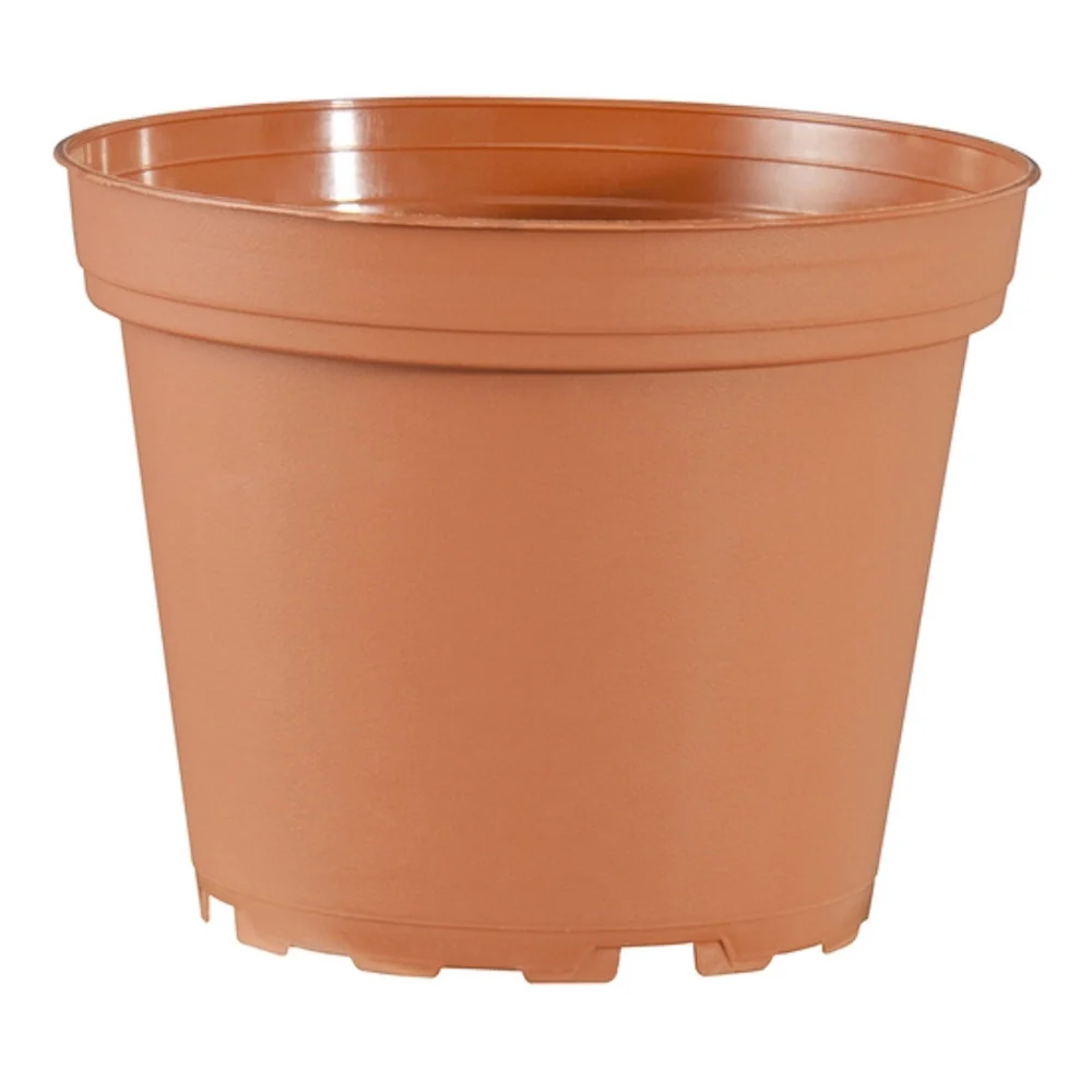 Ghiveci plastic D6cm