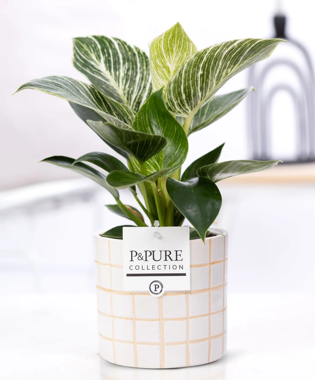 Vas decorativ din ceramica Tirza D13